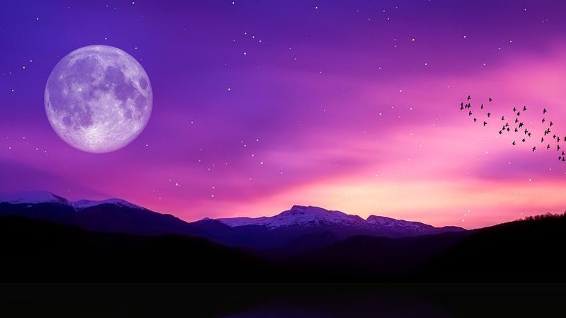 Похудеть поможет луна: как худеть по лунным фазам