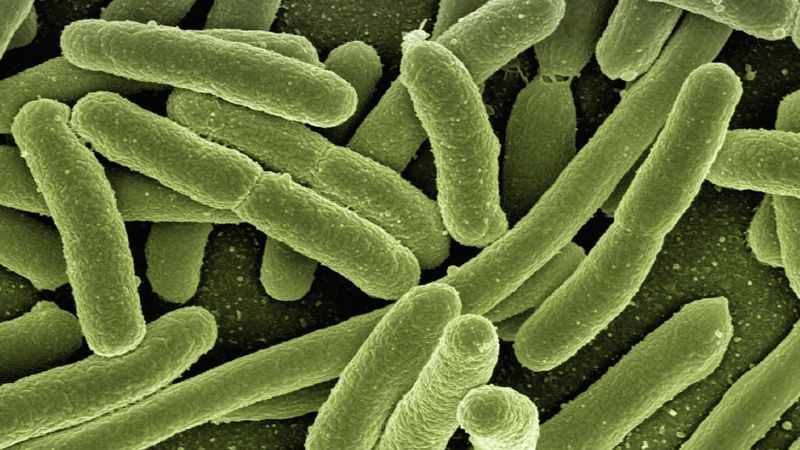 ИИ борьба с бактерией
